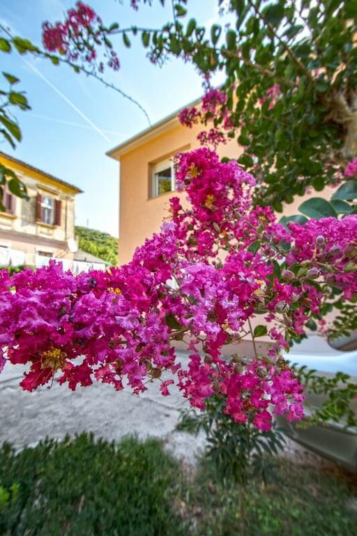 Apartman Nena Crikvenica Exterior photo